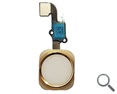 Ampliar imagen Imagen